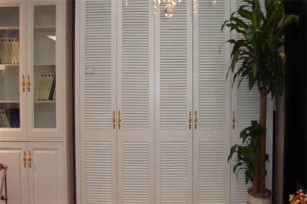 维丽娅定制衣柜